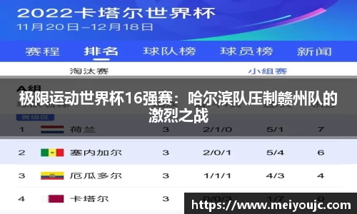 乐彩汇